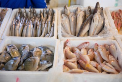 fish-market_1